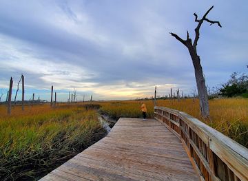 florida/jacksonville/jacksonville-beach/landmark/cradle-creek-preserve