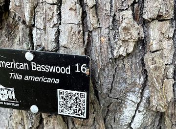 tennessee/franklin/landmark/old-town