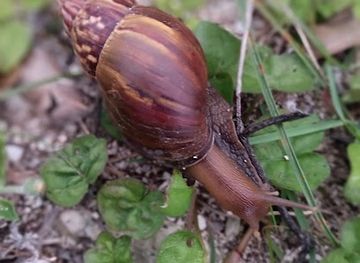 maldives/hithadhoo-island/landmark/hadhdhunmathi-atholhu