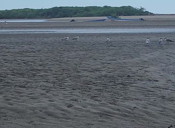 nicaragua/central-region/landmark/reserva-natural-isla-juan-venado