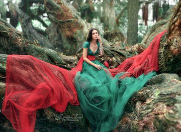 new-zealand/bay-of-plenty/landmark/giant-pohutukawa-tree