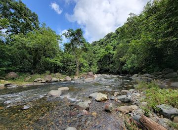 puerto-rico/caribbean-national-forest/landmark/puente-roto