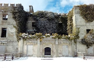 ireland/county-kildare/landmark/donadea-forest-park