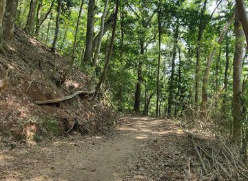 sri-lanka/kandy-district/landmark/entrance-royal-forest-park-udawaththakele