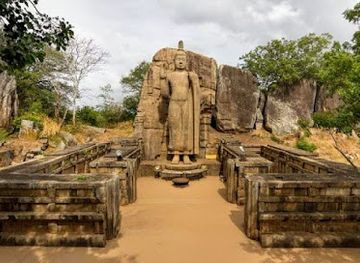 sri-lanka/cultural-triangle/landmark/avukana-buddha-statue