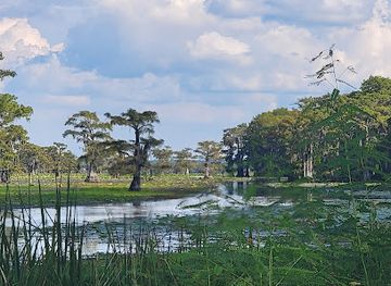 louisiana/caddo-lake/landmark/caddo-lake-national-wildlife-refuge