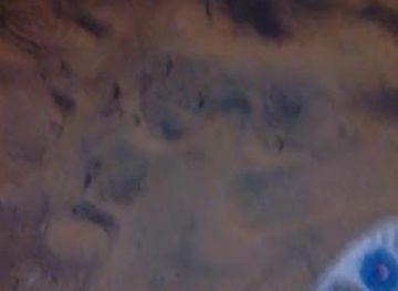 senegal/louga/landmark/mosquee-de-dagathie