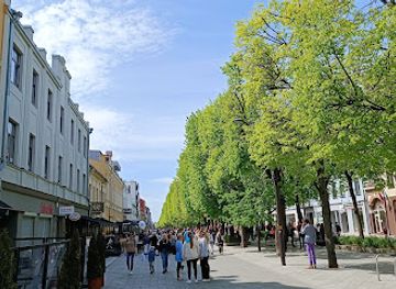 lithuania/kaunas/landmark/lithuanian-officers-palace