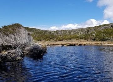 chile/magallanes-and-chilean-antarctica-region/landmark/nueva-island