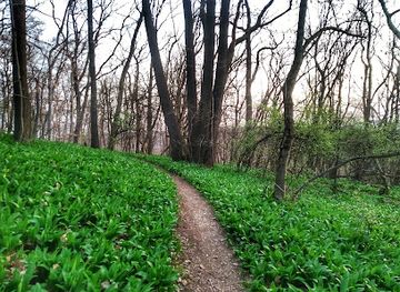 hungary/mecsek-mountains/landmark/mecsek
