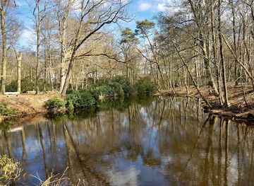 netherlands/gooi/landmark/goois-natuurreservaat-spanderswoud