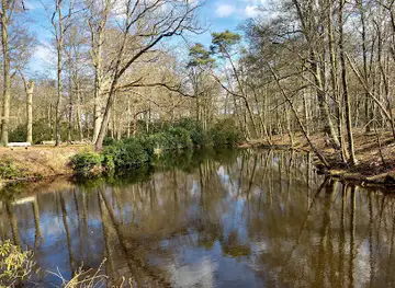 Goois Natuurreservaat Spanderswoud
