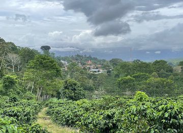 costa-rica/central-pacific/landmark/aquiares-coffee-community-experience