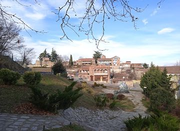 georgia/telavi/landmark/giant-plane-tree