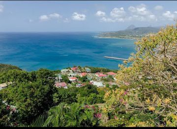 saint-lucia/canaries/landmark/saint-lucia