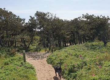 belgium/de-haan/landmark/duinbossenwandelroute
