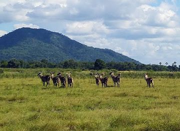 malawi/mulanje-massif/landmark/liwonde-national-park