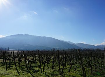 chile/colchagua-valley/landmark/visit-colchagua
