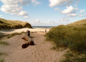 denmark/thy-national-park/landmark/thagaards-plantage