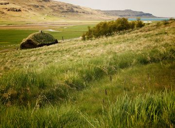 iceland/eastern-region/landmark/eiriksstaoir-viking-longhouse