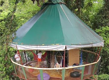 costa-rica/caribbean-coast/landmark/the-amazing-treehouse-and-nature-observatorio-in-manzanillo-limon-costa-rica