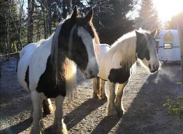finland/vaasa/landmark/finnby-stall