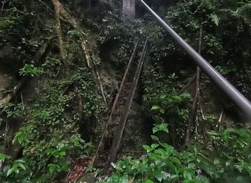 jamaica/cockpit-country/landmark/cockpit-country-caves