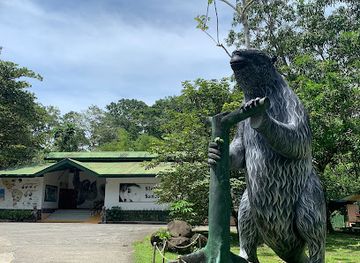 costa-rica/caribbean-coast/landmark/sloth-sanctuary-of-costa-rica