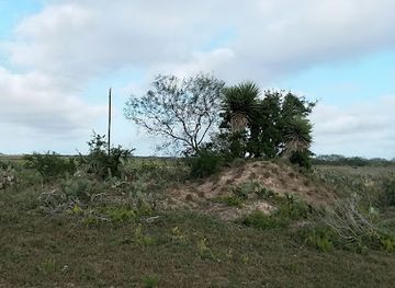 texas/brownsville/landmark/boca-chica-wildlife-refuge
