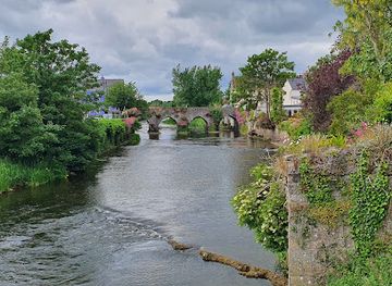 ireland/leinster/landmark/ireland-s-oldest-bridge