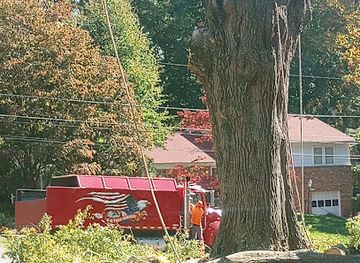 maryland/columbia/the-mall-in-columbia/landmark/mall-in-columbia-macy-s-lot