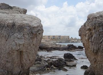 cyprus/akamas-peninsula/landmark/paphos-forest