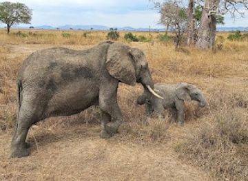 tanzania/zanzibar-city/nungwi/landmark/zanzibar-safari