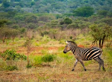 rwanda/western-province/landmark/akagera-national-park-rwanda