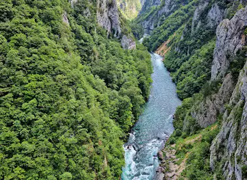 Vidikovac Kanjon Tare / Viewpoint Tara Canyon