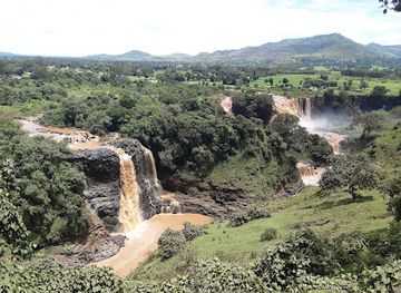ethiopia/bahir-dar/landmark/yotor-travel