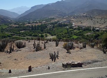 chile/coquimbo/landmark/pichasca-natural-monument