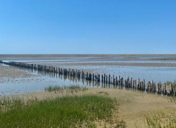 denmark/wadden-sea-national-park/landmark/vadehavscentret
