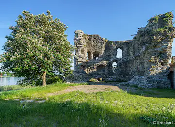 Vasknarva ruins