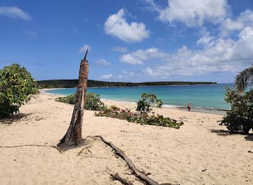 puerto-rico/vieques-island/landmark/playa-sun-bay