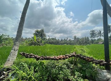 indonesia/bali/ubud/landmark/kajeng-rice-field