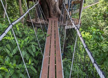 tanzania/northern-zone/landmark/lake-manyara-treetop-walkway