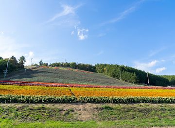 japan/hokkaido/landmark/nakafurano-hokuseiyama-lavender-fields
