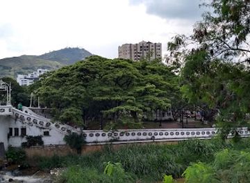 colombia/cali/landmark/puente-peatonal-ortiz