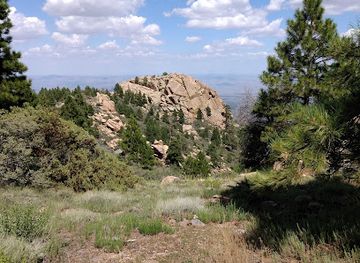 arizona/kingman/landmark/hualapai-mountain-park-campground