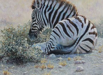 namibia/swakopmund/landmark/fine-art-gallery