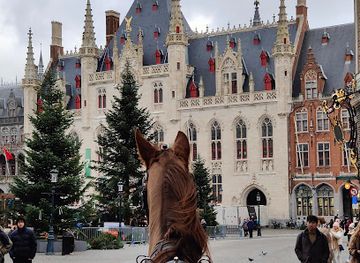 belgium/bruges/landmark/bruges-by-horse-drawn-carriage