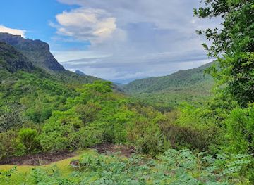 mauritius/black-river-gorges-national-park/landmark/plateau-resmousse