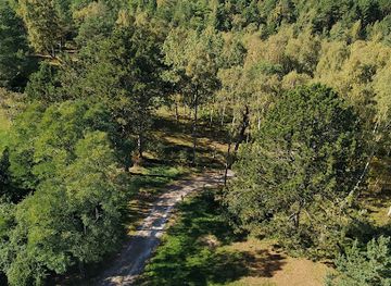 lithuania/curonian-spit-national-park/landmark/nida-lighthouse