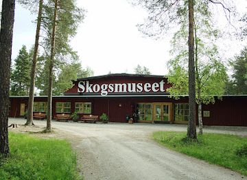 sweden/lapland/landmark/skogsmuseet-i-lycksele-ab